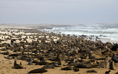 namibia