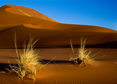 Namibia