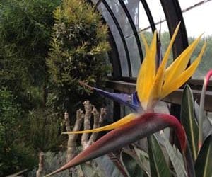 Revel in flower bathing in colorful springtime public gardens