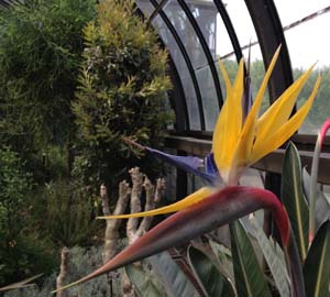 Revel in flower bathing in colorful springtime public gardens