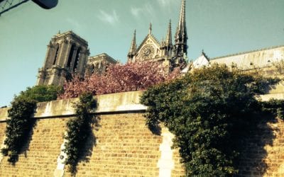 Paris cemetery