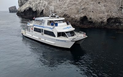 Insider tips for island hopping with the family