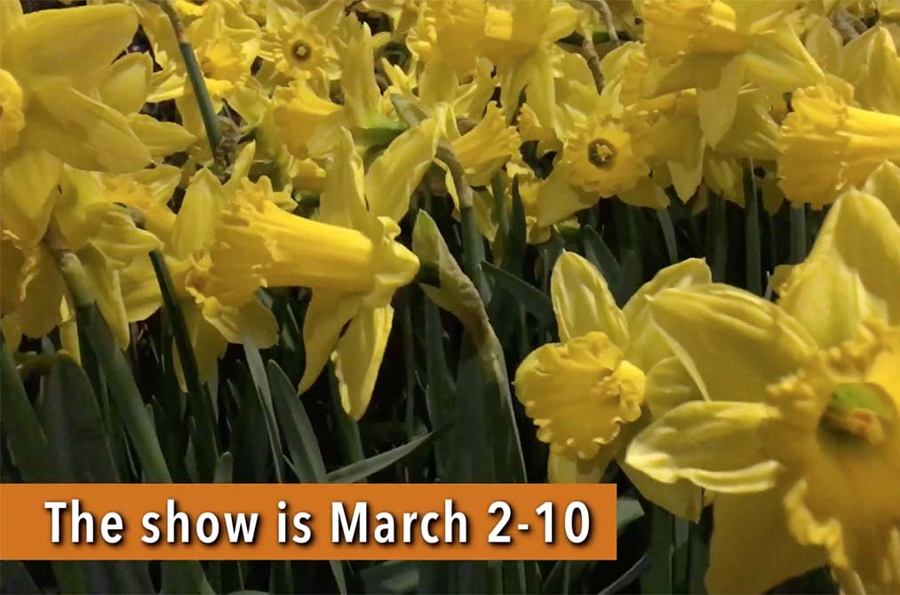 Rediscover ‘Flower Power’ of the ’60s at the Philadelphia Flower Show