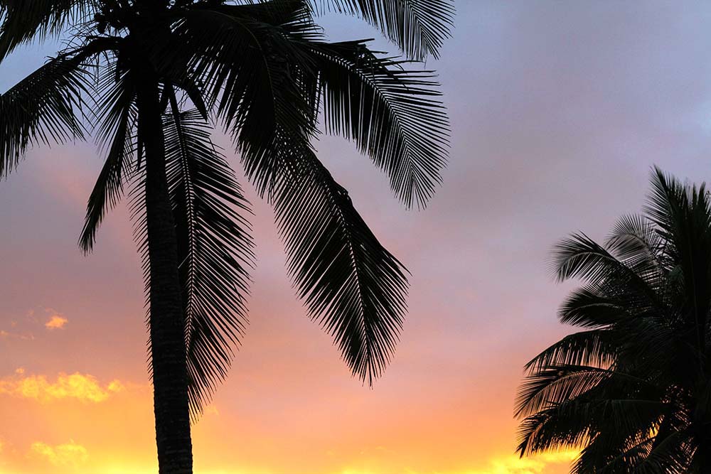 These extra vacation rental charges are ridiculous!