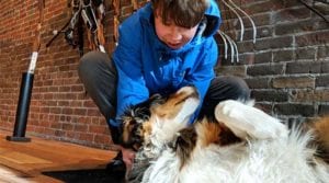 traveling with animals