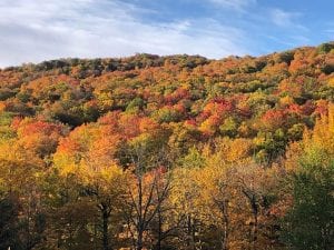 Fall Colors in Vermont
