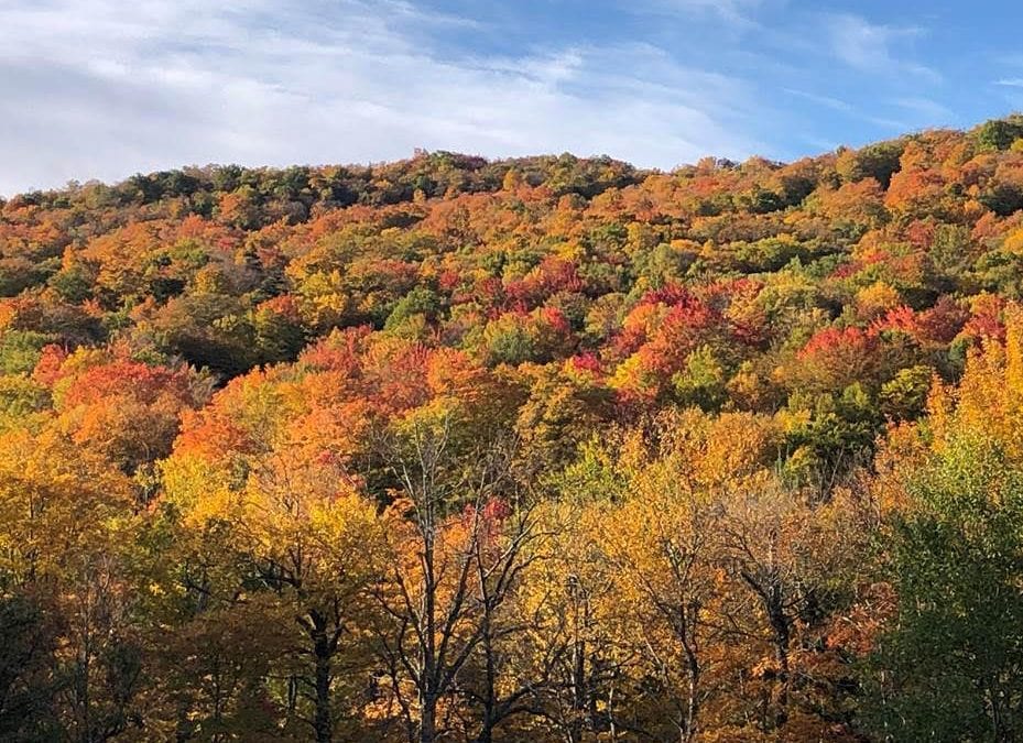 Fall travel bargains — fly, drive, see, eat