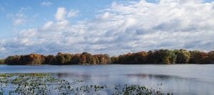 It's fall at the John Heinz National Wildlife Refuge at Tinicum, Copyright © 2019 NSL Photography. All Rights Reserved.