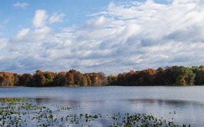 It's fall at the John Heinz National Wildlife Refuge at Tinicum, Copyright © 2019 NSL Photography. All Rights Reserved.