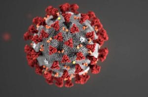 COVID 19 virus image