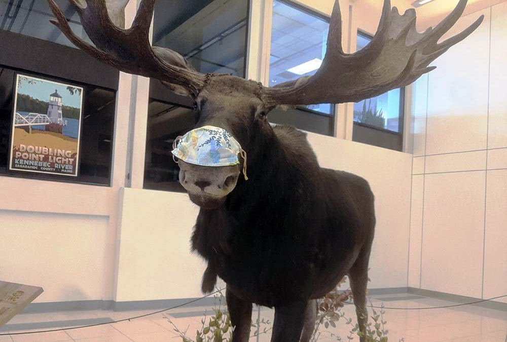 I dared to travel in the times of the pandemic