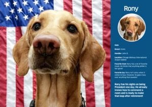 TSA Dog Calendar