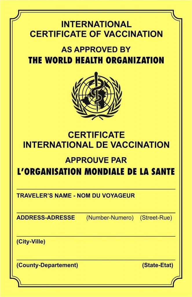 fake vaccination records