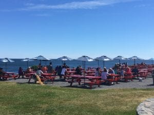 Lobster shacks