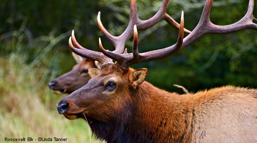 How to discover Mother Nature’s little-known gems