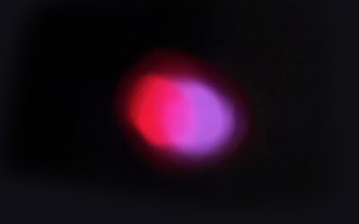 Successful iPhone camera test to determine if it can photograph infrared light. Copyright © 2023 NSL Photography. All Rights Reserved.