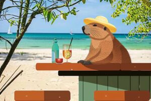 mini-luxury vacation