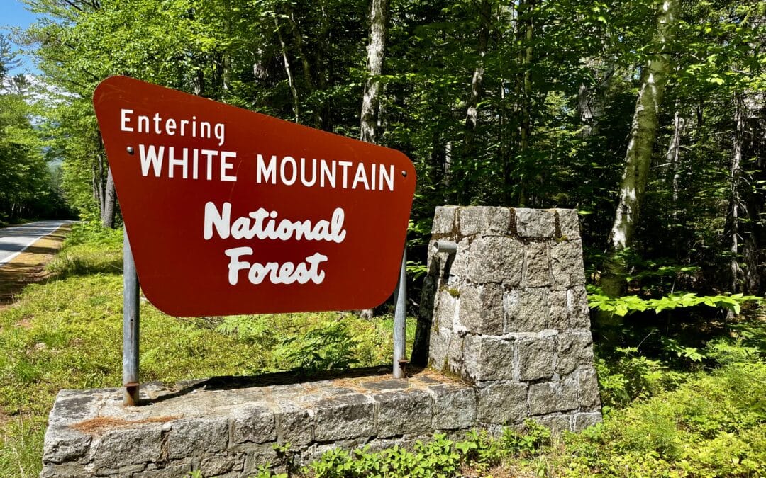 Public lands should stay in public hands