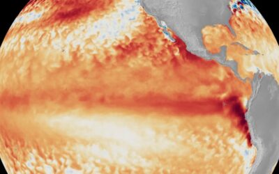 El Niño has arrived. Beware hot weather now.