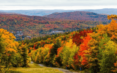 Quebec foliage